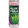 #0364 aloe-lotte-024l-plech-grape (1)