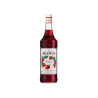 #0412 monin-jahoda-strawberry-1-l_325x240@2x