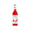 #0414 monin-melon-cerveny-watermelon-0-7-l_325x240@2x