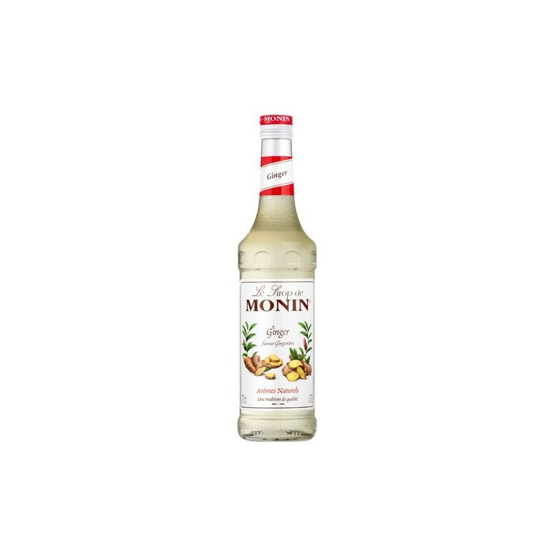 #0415 monin-zazvor-ginger-0-7-l_325x240@2x (1)