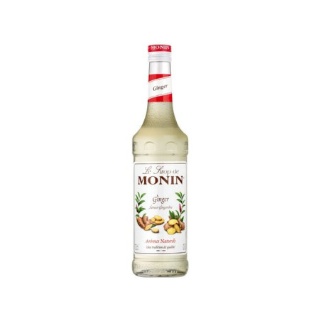 #0415 monin-zazvor-ginger-0-7-l_325x240@2x (1)