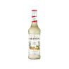 #0415 monin-zazvor-ginger-0-7-l_325x240@2x (1)