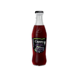 #0863 cappy-cierne-ribezle-25-0-25-l_325x240@2x (1)